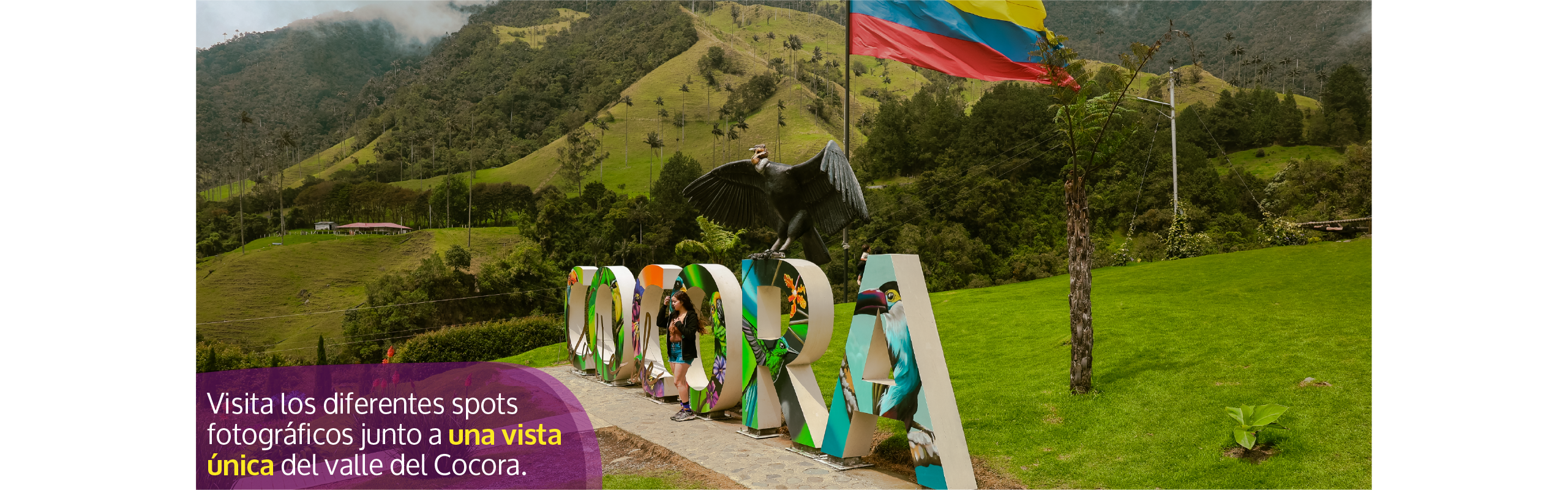 Beyond Colombia Tours | Tour: Caminata Valle del Cocora Tour (6h)