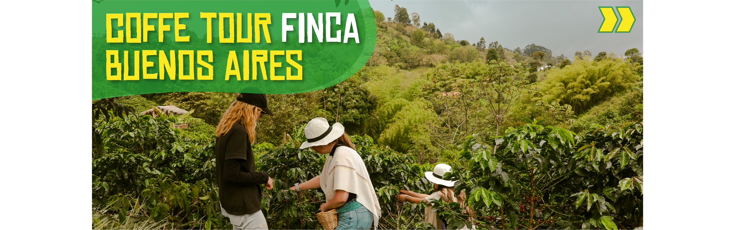 Beyond Colombia Tours | Tour: Experiencia de Finca Familiar Cafetera Buenos Aires