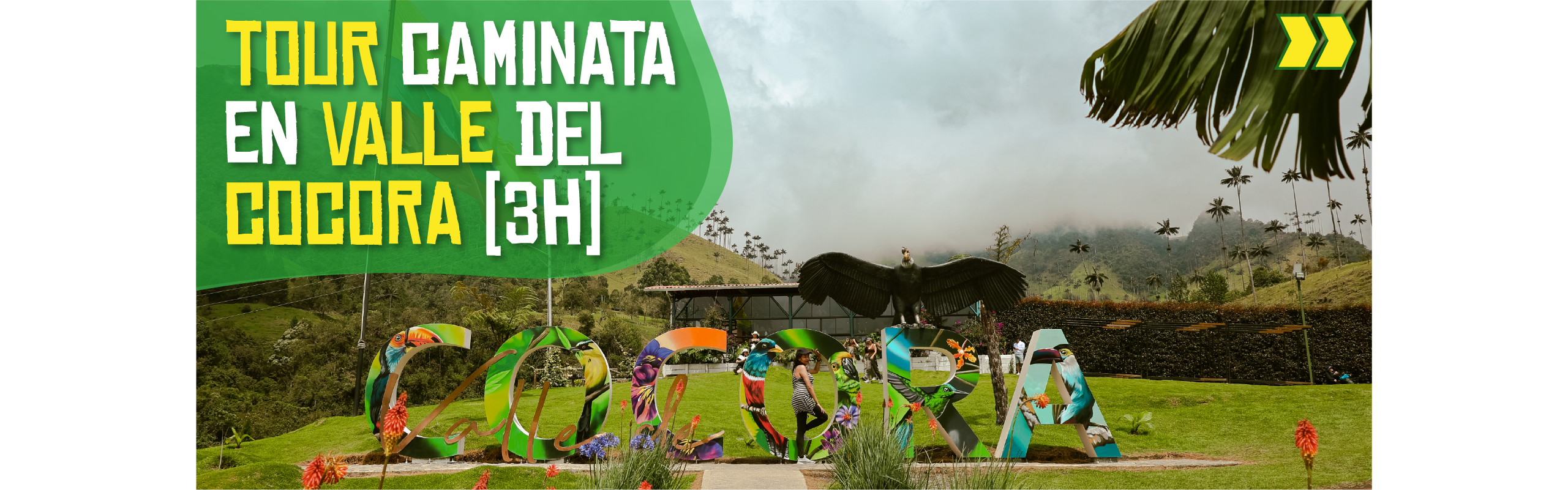 Beyond Colombia Tours | Tour: Caminata Valle de Palmas de Cera de Cocora Tour (3h)