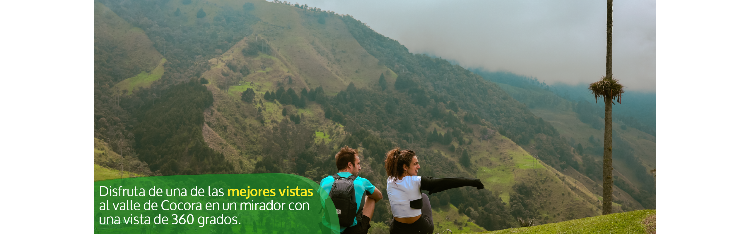Beyond Colombia Tours | Tour: Caminata Valle de Palmas de Cera de Cocora Tour (3h)