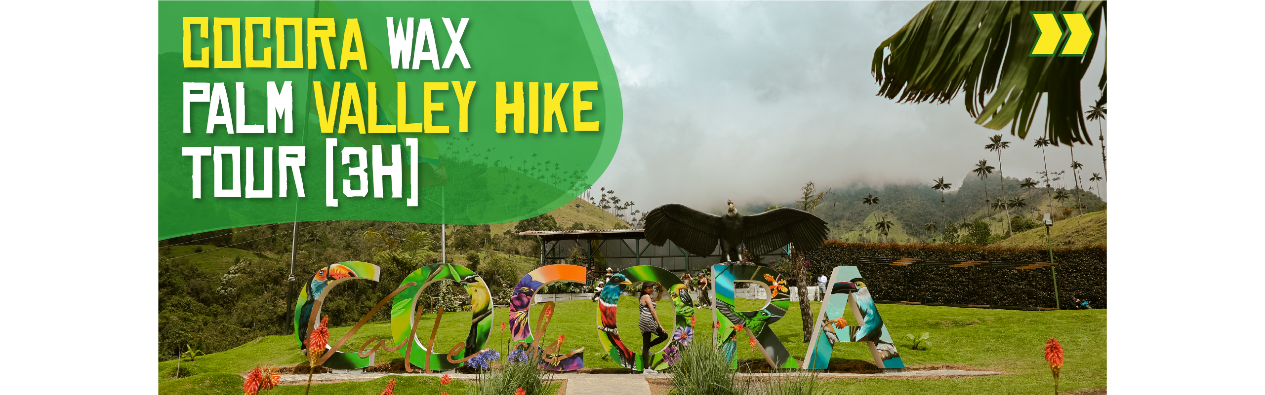 Beyond Colombia Tours | Tour: Cocora Wax Palm Valley Hike Tour Experience (3h)