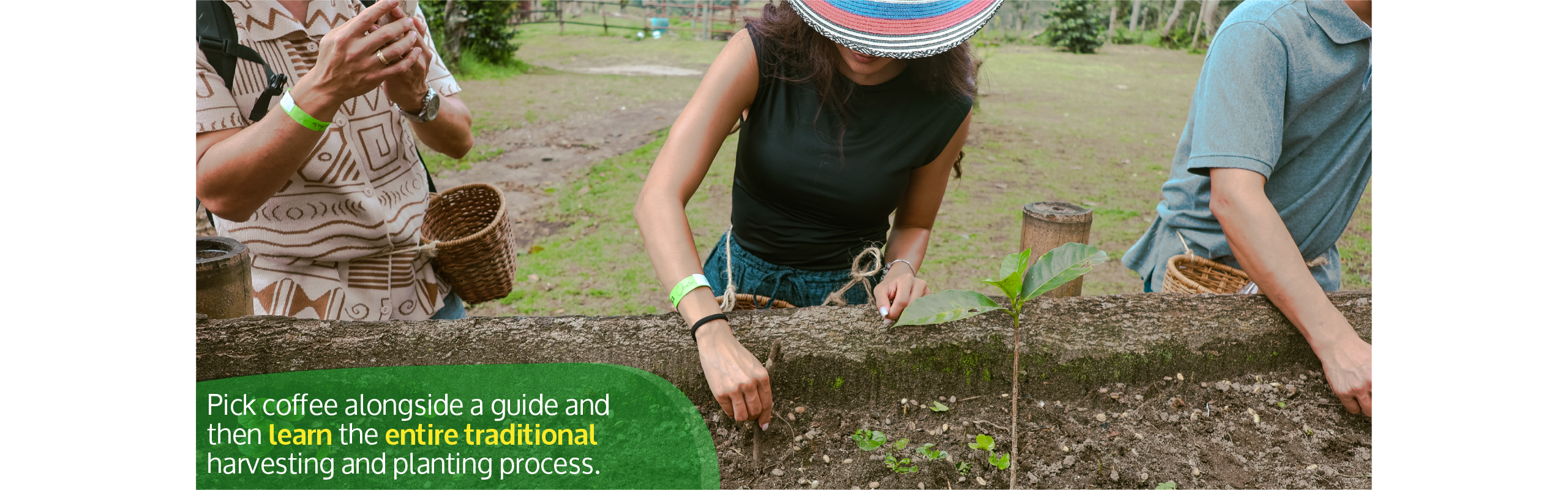 Beyond Colombia Tours | Tour: El Ocaso Coffee Farm Tour in Salento