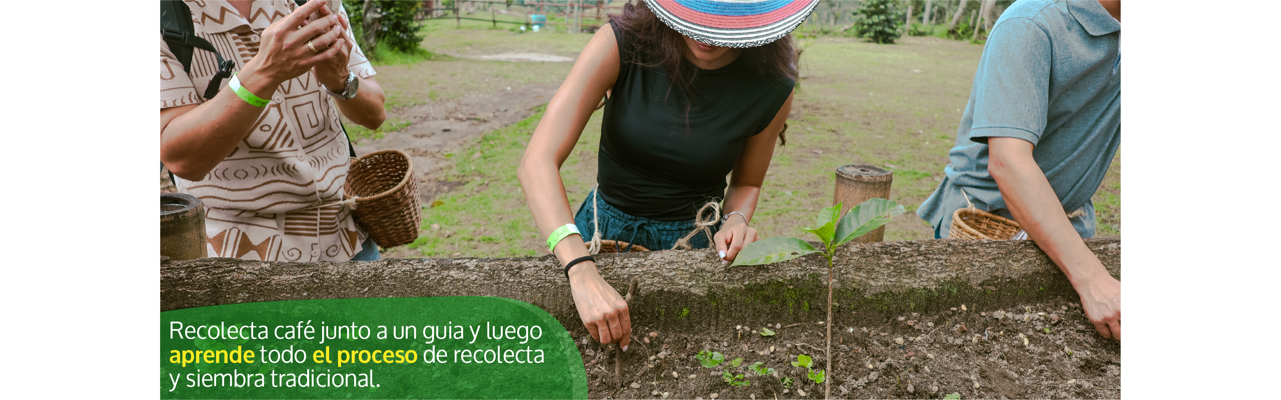 Beyond Colombia Tours | Tour: Tour Finca Cafetera El Ocaso en Salento