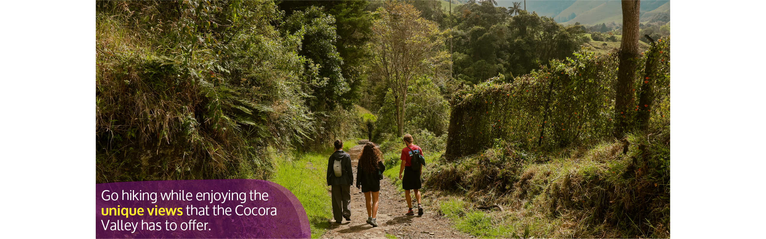Beyond Colombia Tours | Tour: La Carbonera Wax Palm Forest Hike & Downhill on Bike
