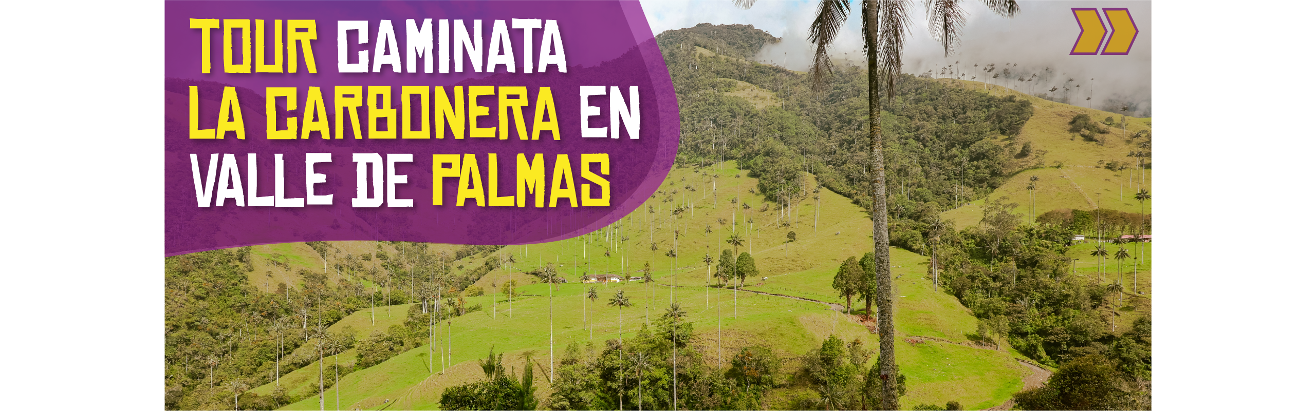 Beyond Colombia Tours | Tour: Caminata a La Carbonera Valle de Palmas & Descenso en Bicicleta
