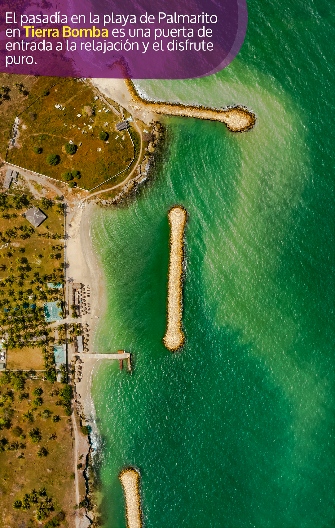 Beyond Colombia Tours | Tour: Palmarito Beach Club at Tierrabomba Day Trip