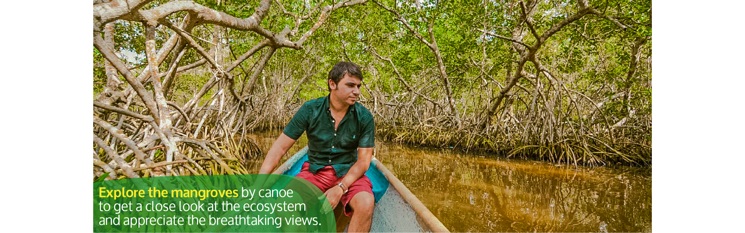 Beyond Colombia Tours | Tour: Mangroves Tour in Cartagena