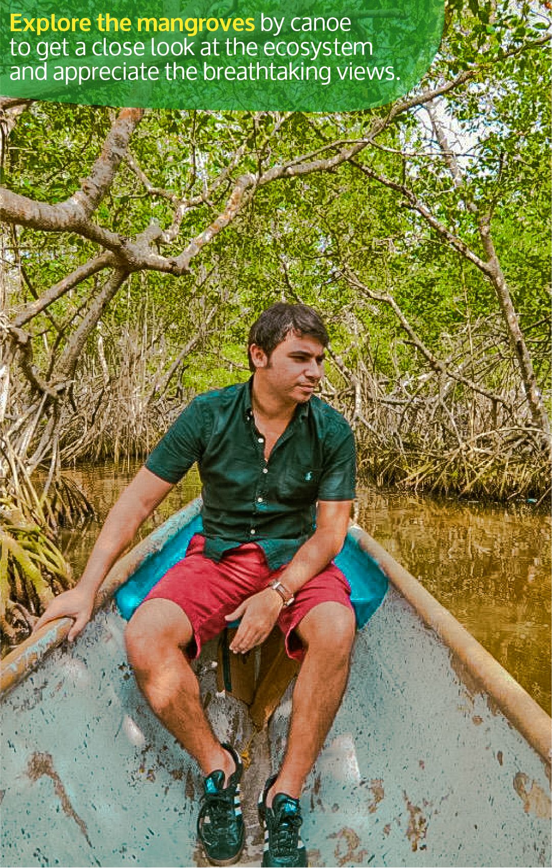 Beyond Colombia Tours | Tour: Mangroves Tour in Cartagena