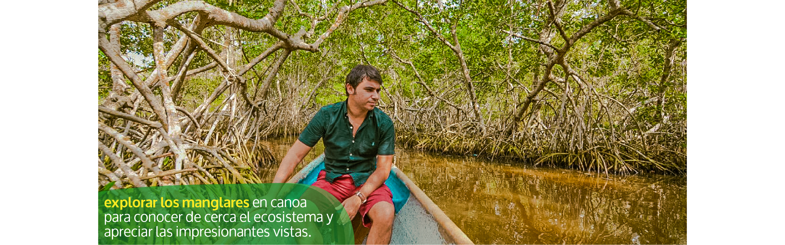 Beyond Colombia Tours | Tour: Tour de Manglares en Cartagena