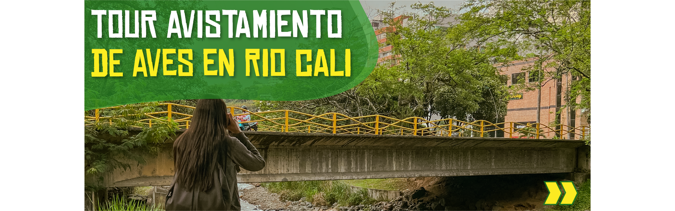 Beyond Colombia Tours | Tour: Tour de Avistamiento de Aves en el Río Cali