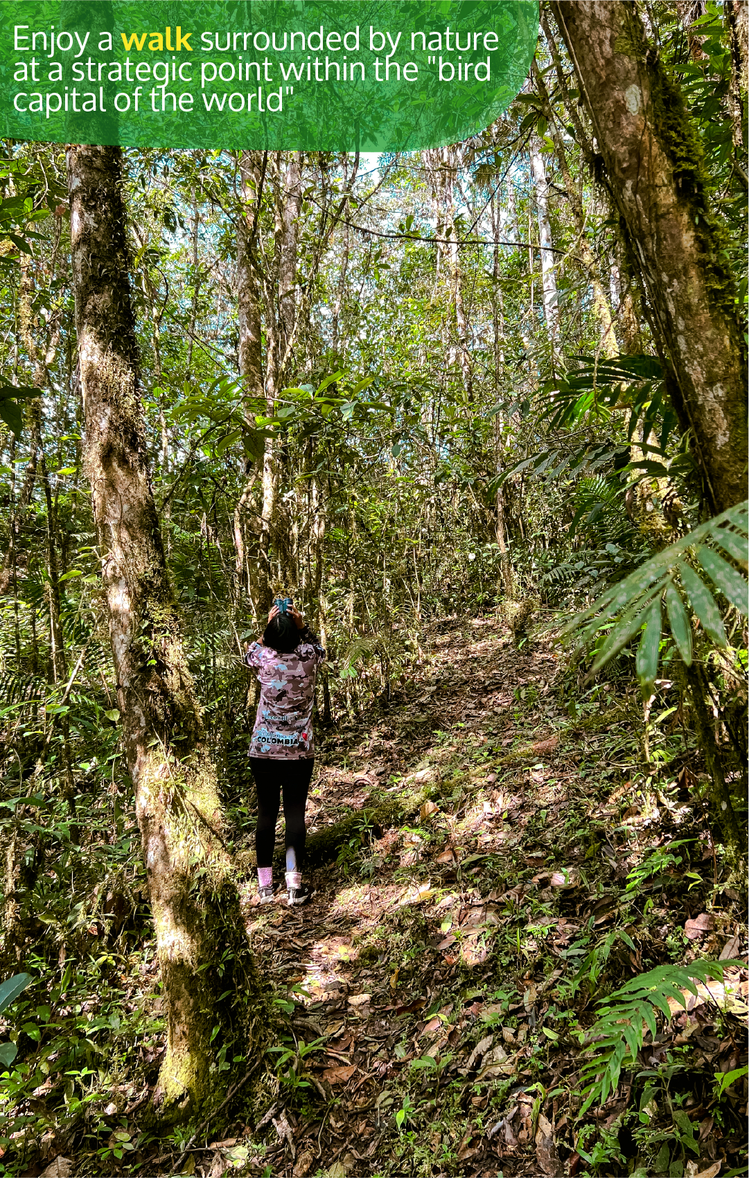 Beyond Colombia Tours | Tour: Birdwatching Tour at KM 18