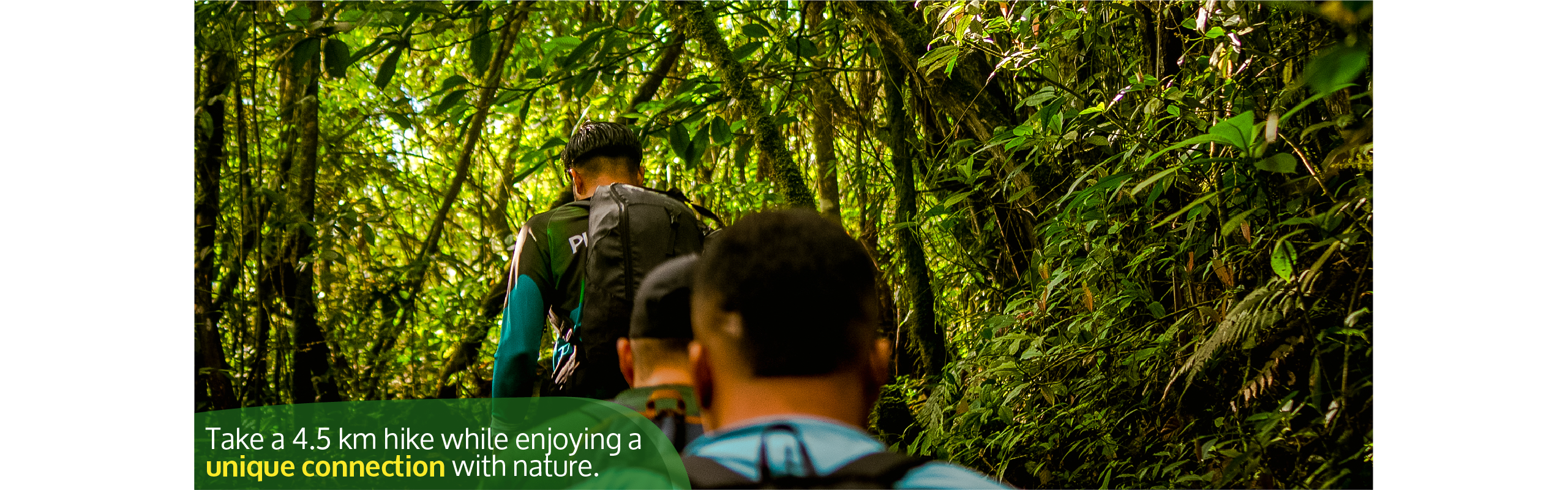 Beyond Colombia Tours | Tour: Pico Loro Mountain Hike Tour