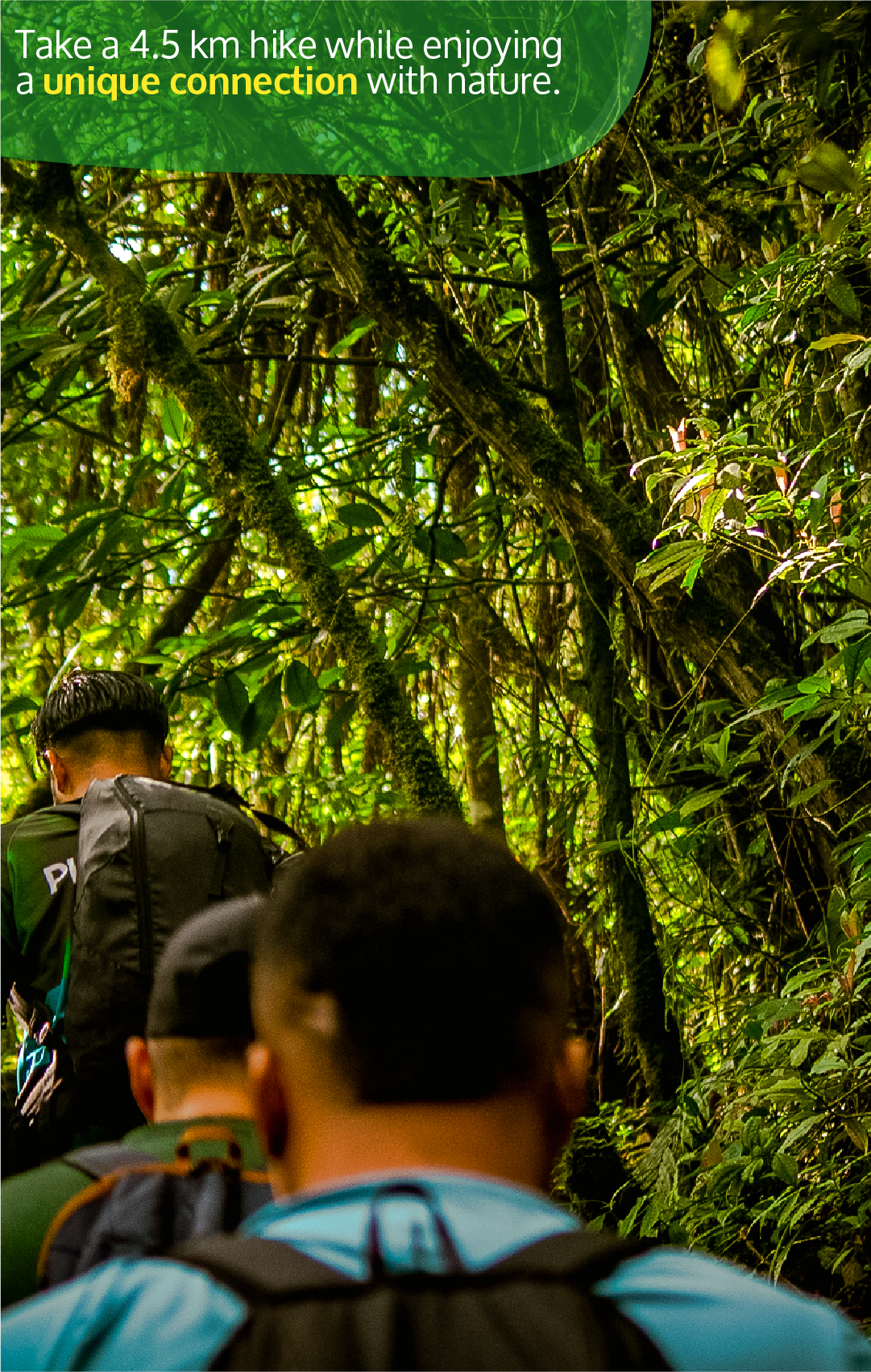 Beyond Colombia Tours | Tour: Pico Loro Mountain Hike Tour