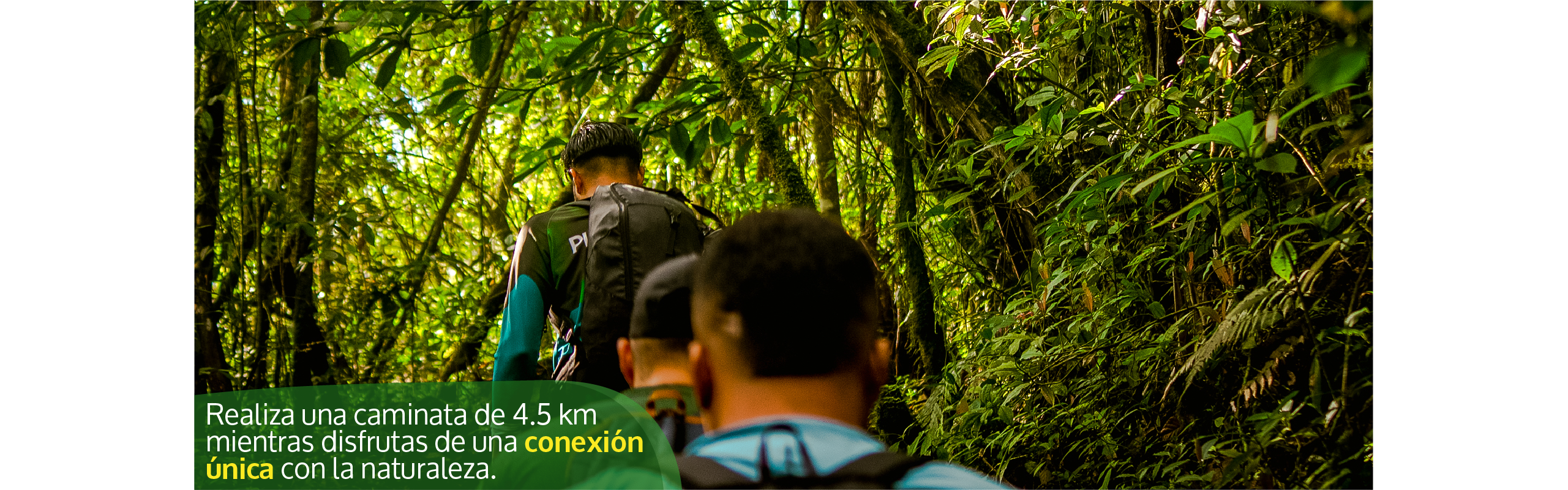 Beyond Colombia Tours | Tour: Tour Caminata Pico Loro