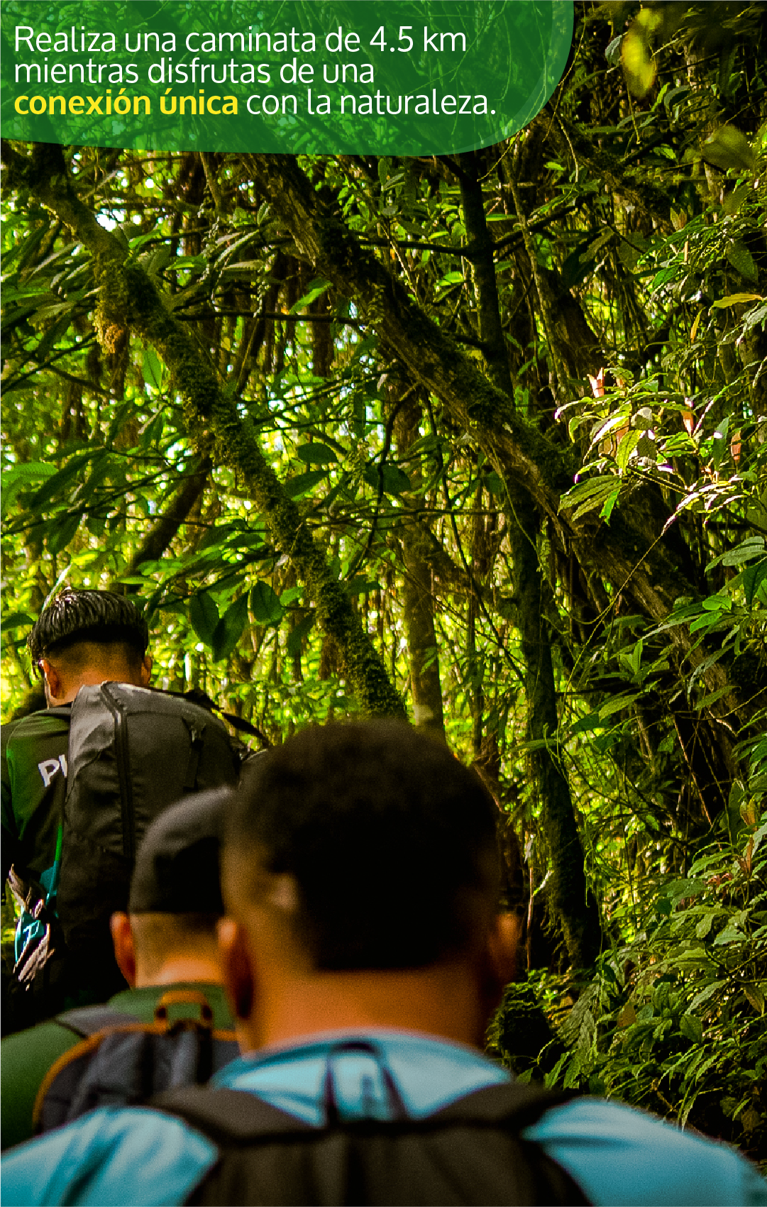 Beyond Colombia Tours | Tour: Pico Loro Mountain Hike Tour