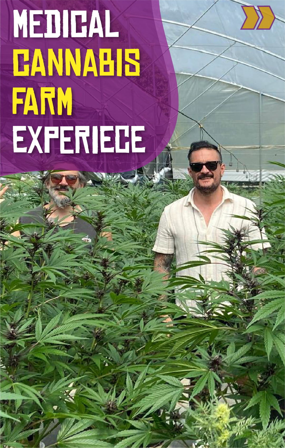 Beyond Colombia Tours | Tour: Medicinal Cannabis Farm Experience