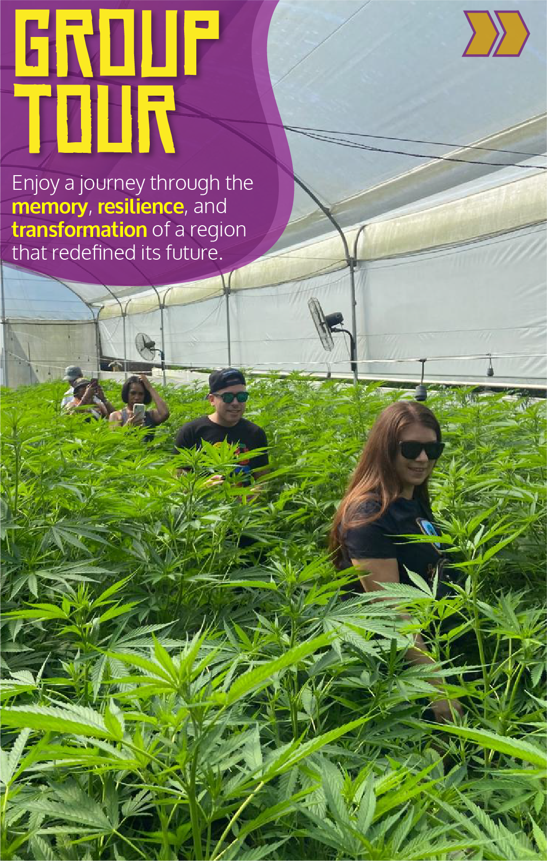 Beyond Colombia Tours | Tour: Medicinal Cannabis Farm Experience