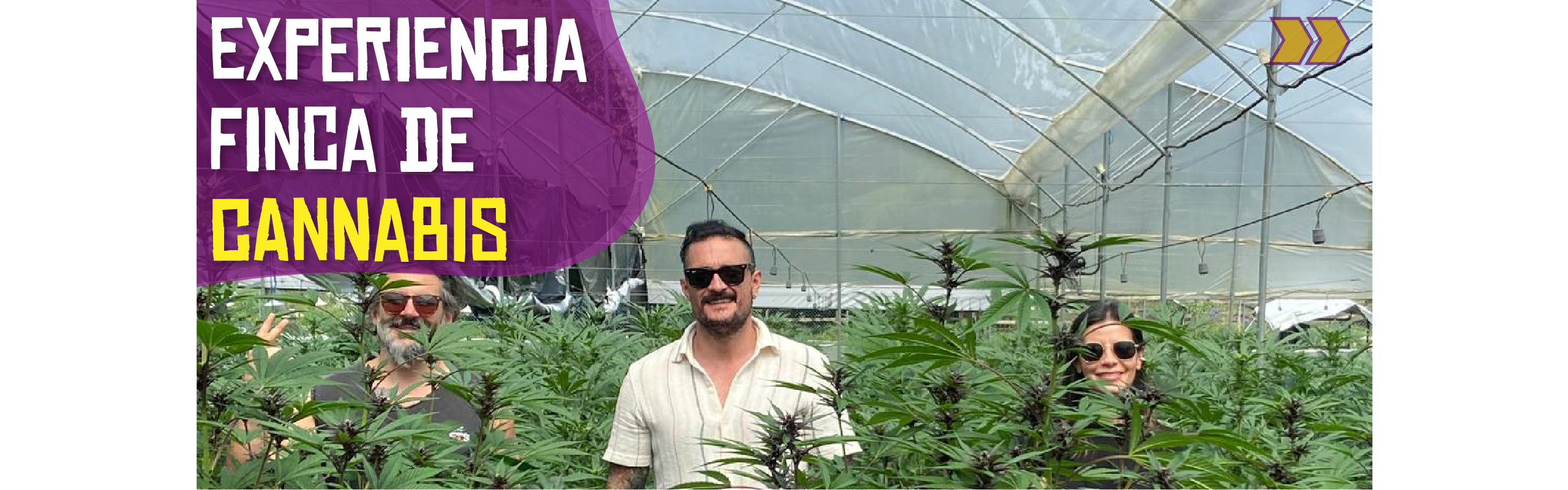Beyond Colombia Tours | Tour: Experiencia de Finca de Cannabis Medicinal