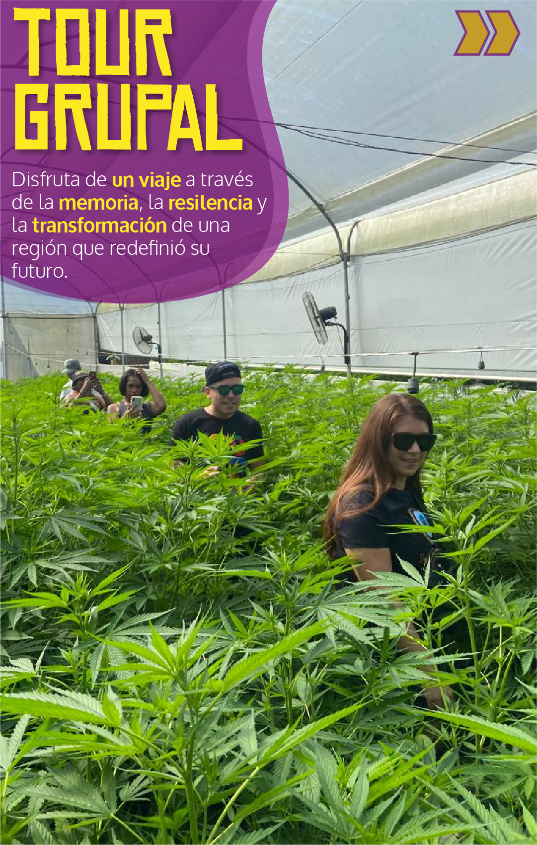 Beyond Colombia Tours | Tour: Medicinal Cannabis Farm Experience