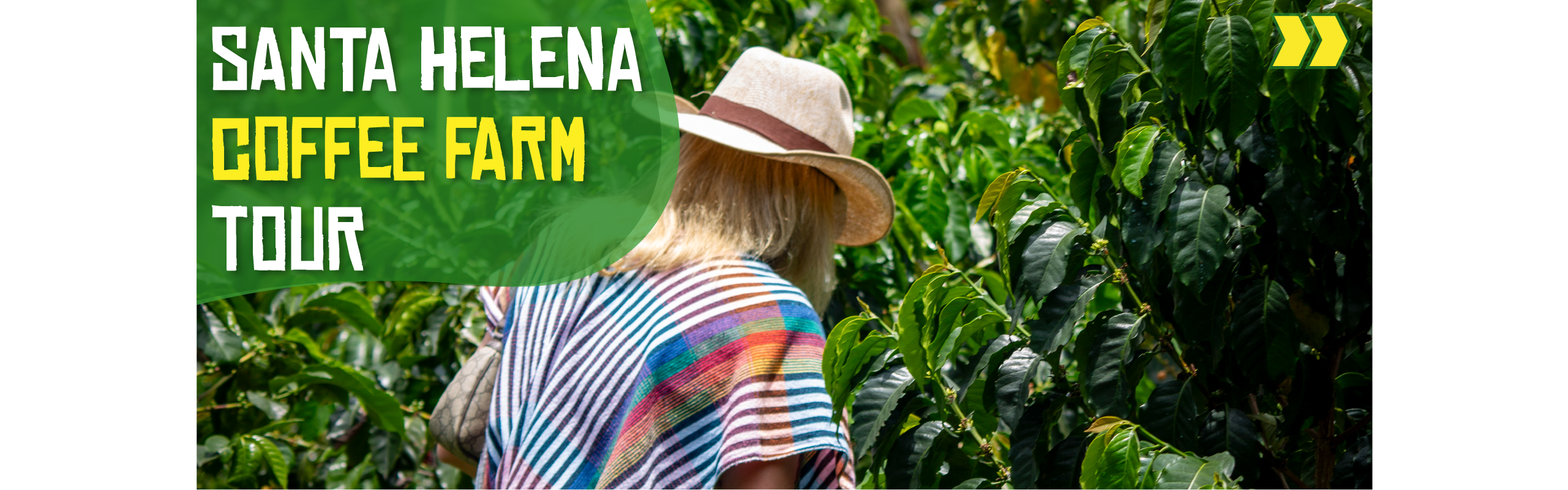 Beyond Colombia Tours | Tour: Coffee Farm Experience in Santa Elena
