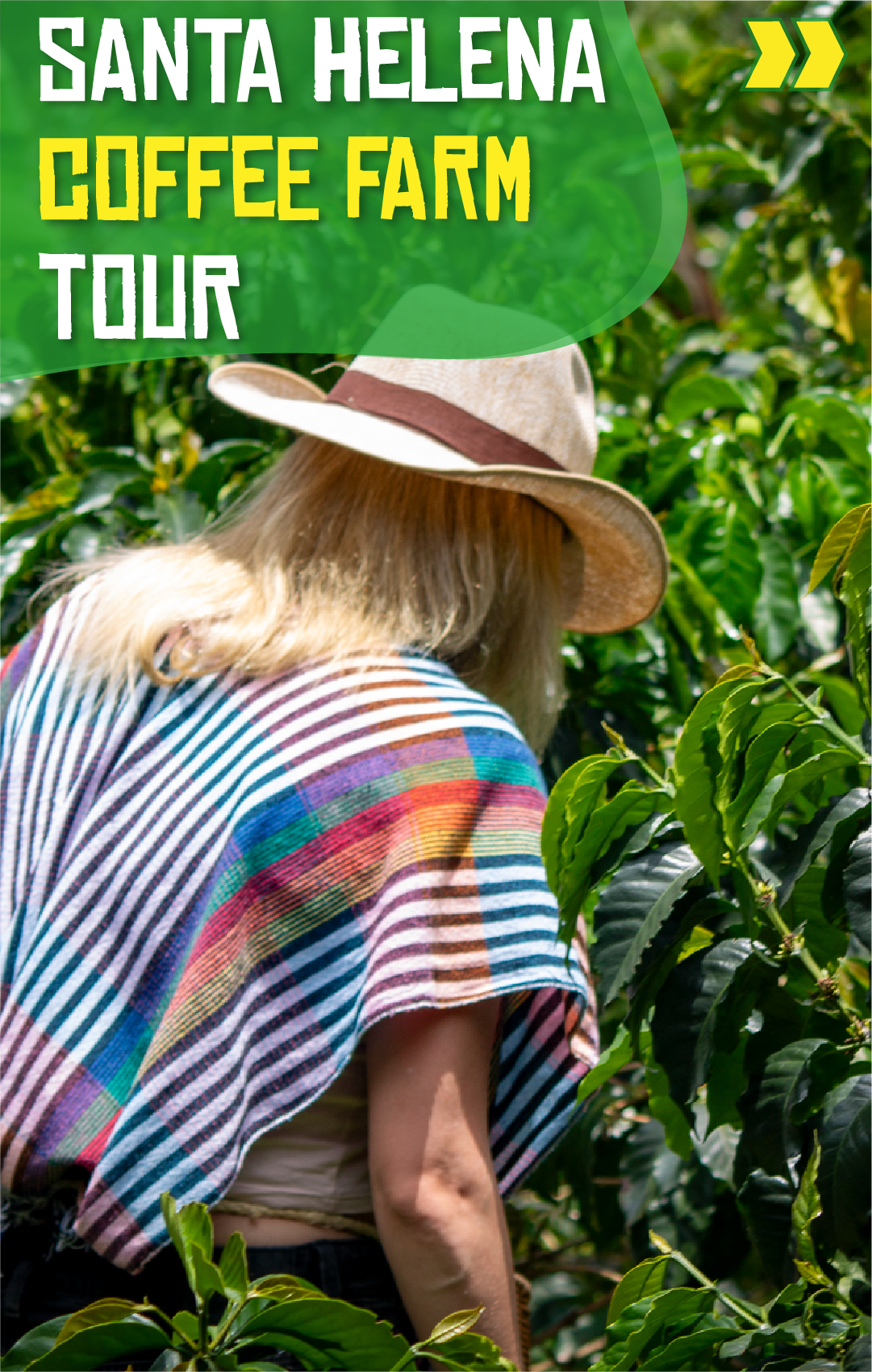 Beyond Colombia Tours | Tour: Coffee Farm Experience in Santa Elena