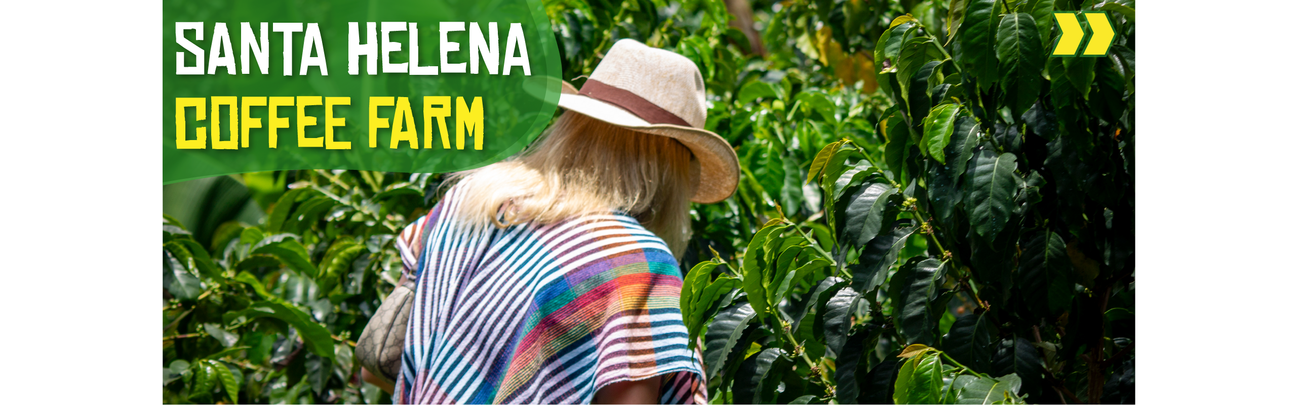 Beyond Colombia Tours | Tour: Experiencia Finca Cafetera en Santa Elena