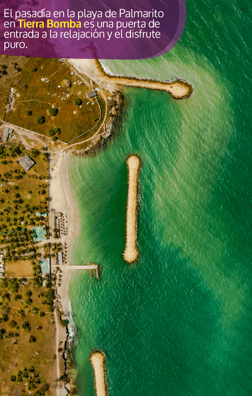 Beyond Colombia Tours | Tour: Palmarito Beach Club at Tierrabomba Day Trip