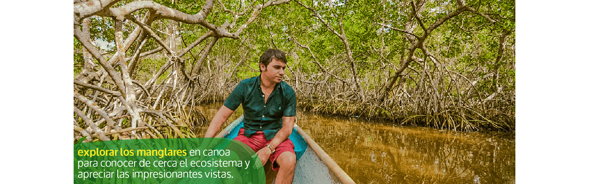 Beyond Colombia Tours | Tour: Tour de Manglares en Cartagena