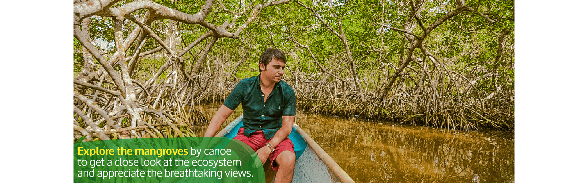 Beyond Colombia Tours | Tour: Mangroves Tour in Cartagena