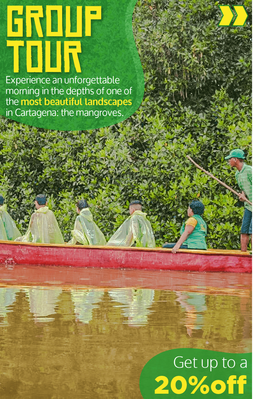 Beyond Colombia Tours | Tour: Mangroves Tour in Cartagena
