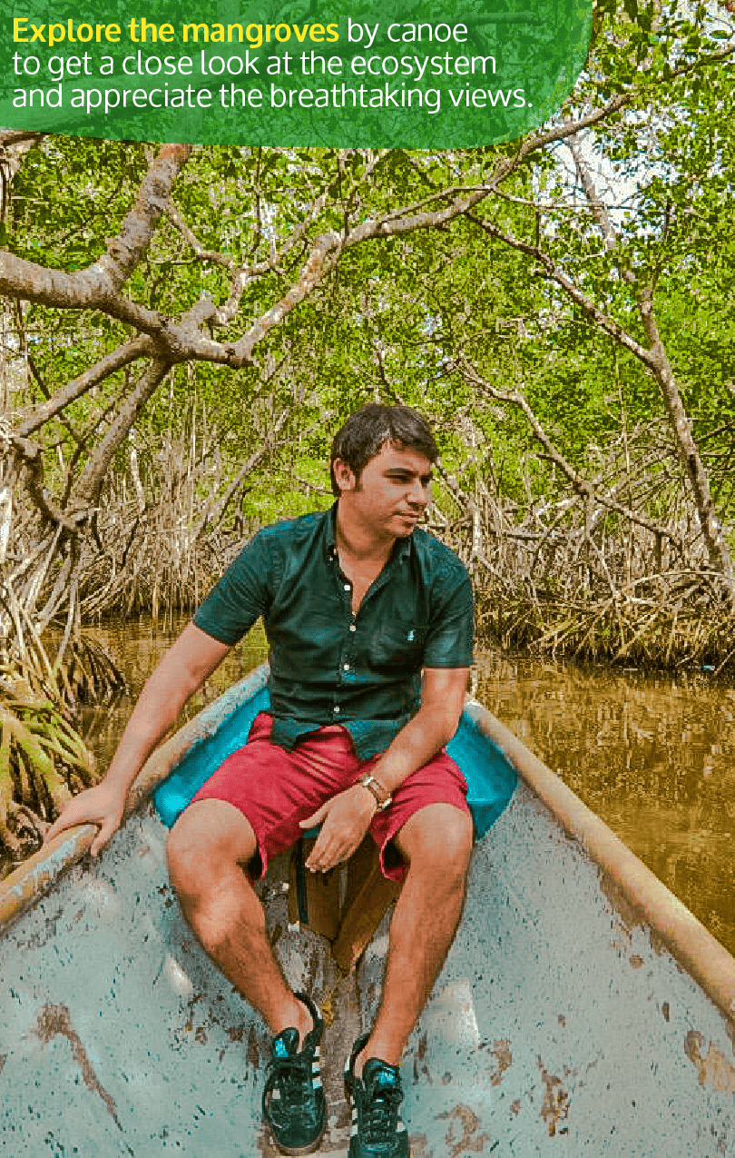 Beyond Colombia Tours | Tour: Mangroves Tour in Cartagena