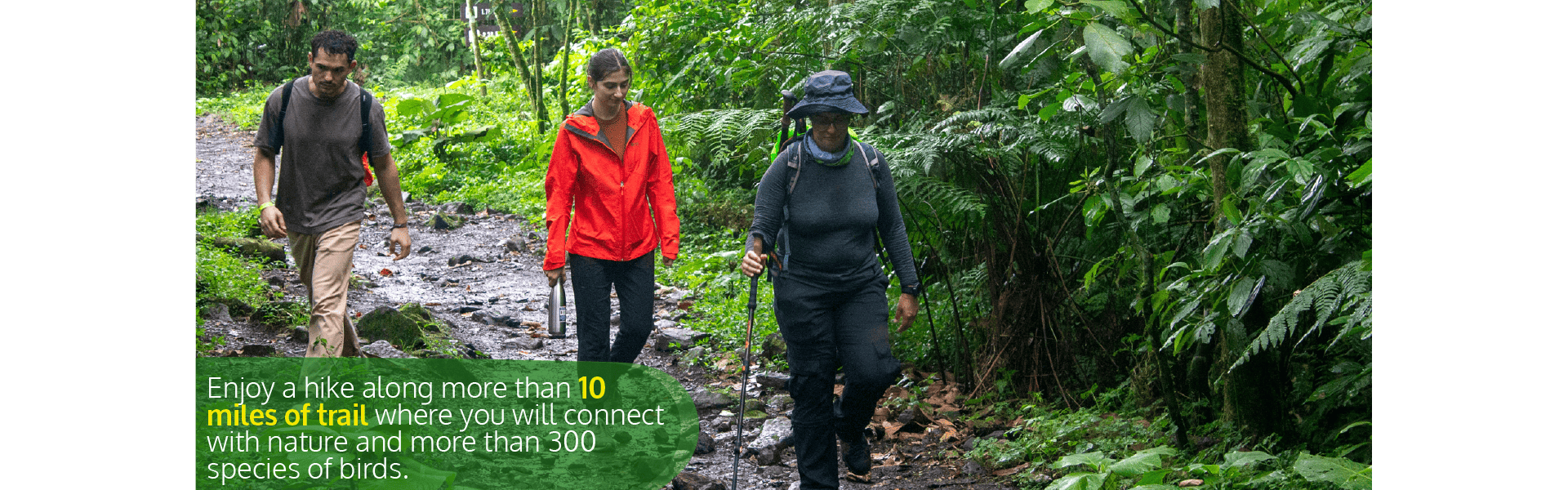 Beyond Colombia Tours | Tour: Chicaque Natural Park Tour Hike
