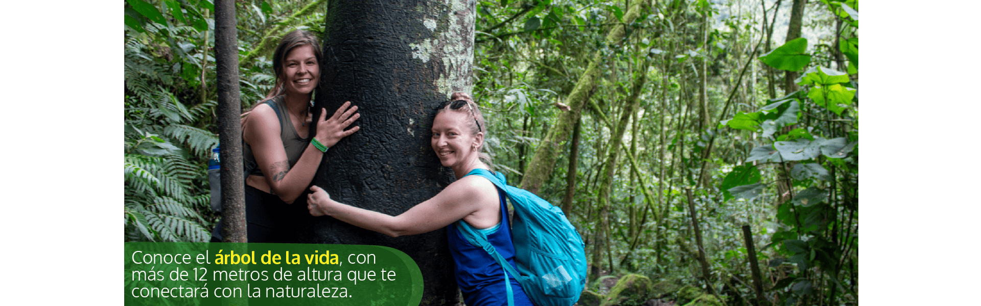 Beyond Colombia Tours | Tour: Caminata Tour a Cascada La Chorrera