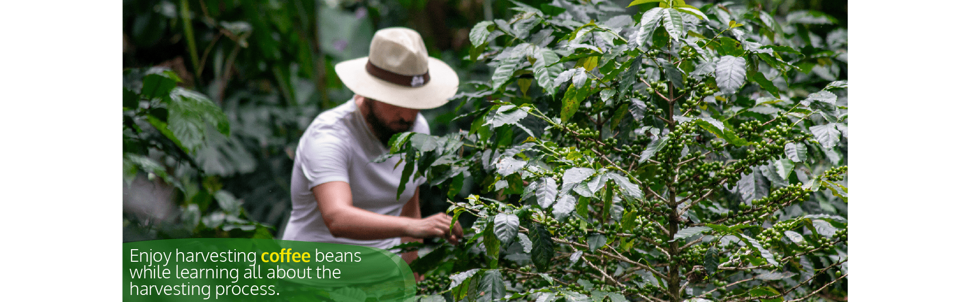 Beyond Colombia Tours | Tour: Local Coffee Farm Experience