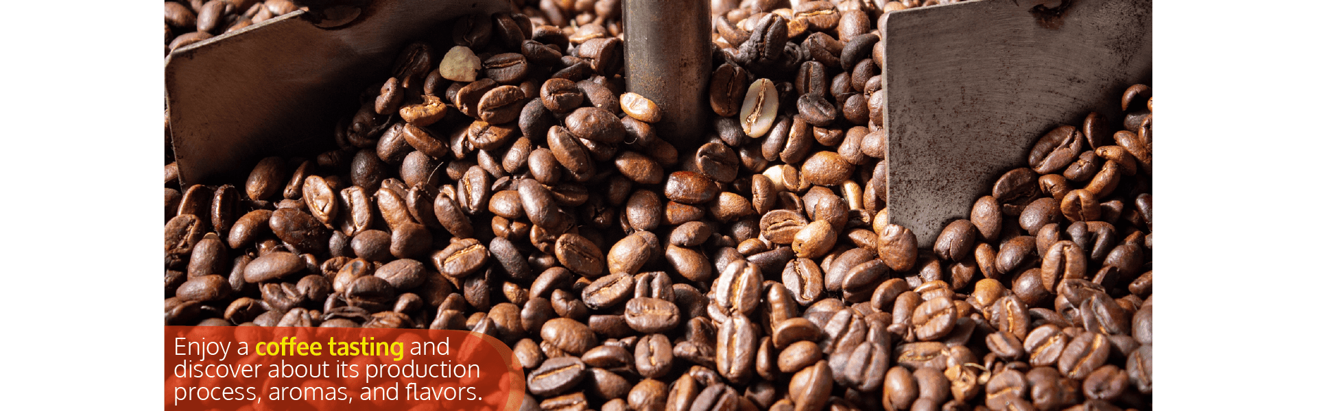 Beyond Colombia Tours | Tour: Premium Coffee Tasting Experience