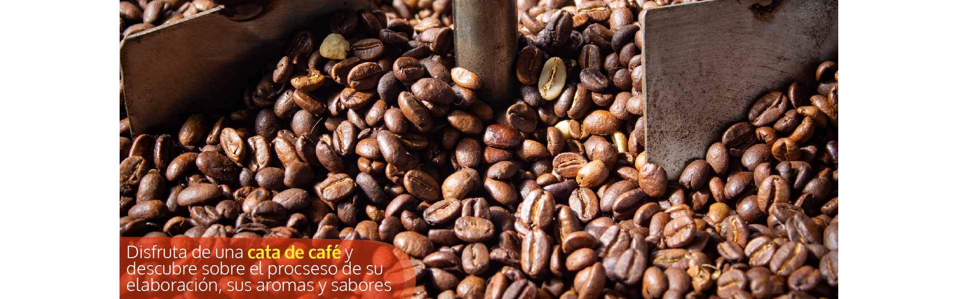 Beyond Colombia Tours | Tour: Experiencia de Cata de Café Premium