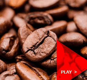 Beyond Colombia Tours | Premium Coffee Tasting Experience
