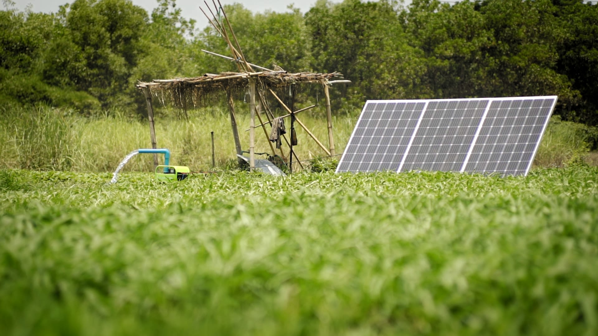 Agrosolar Helping Myanmar S Small Farmers Startsomegood