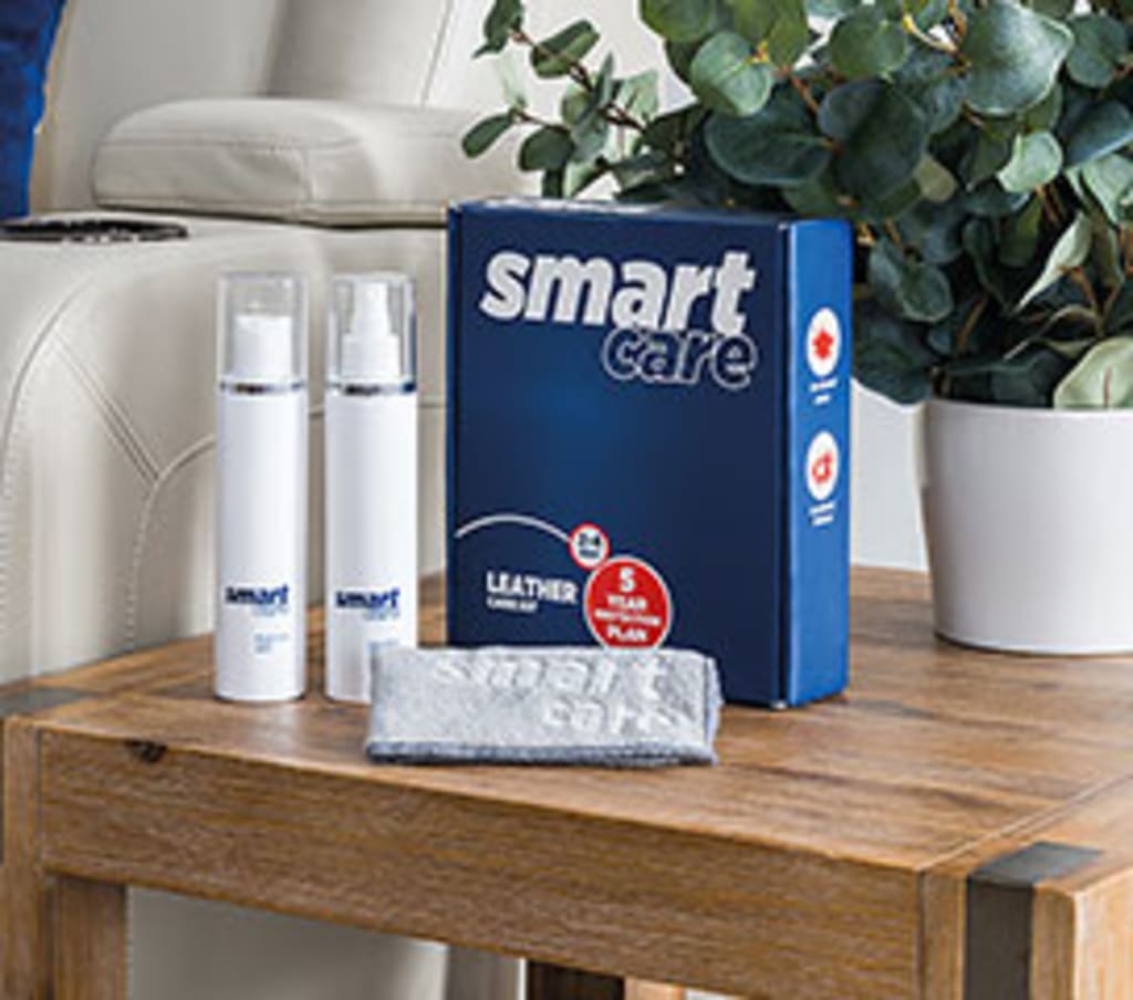 Smart Care Leather Care Kit