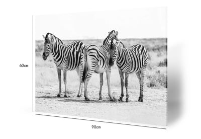 HINCS 3 Zebra Wall Art