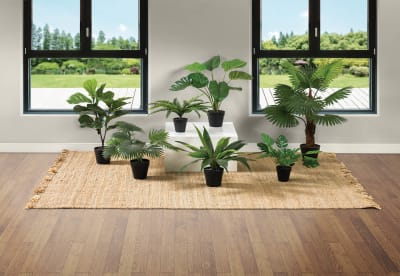 BLOSSOM 45cm Monstera with Pot