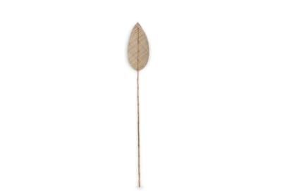 ANWAR 180cm Natural Deco Leaf