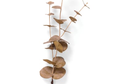 DAWE 85cm Stem