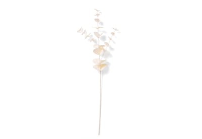 EUCY 67cm Stem