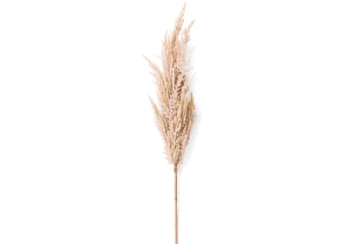 PAMPAS 83cm Stem