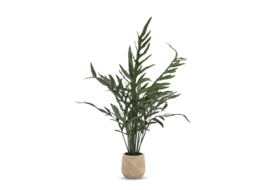 DRAVUE Blue Star Fern Pot