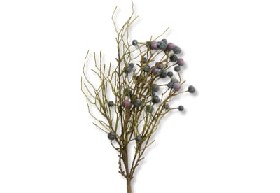 WILD BERRY Spray