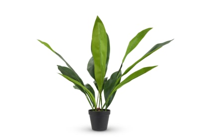 ASPIDISTRA Artificial Plant 60CM