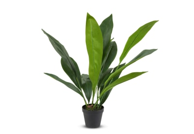 ASPIDISTRA Artificial Plant 60CM