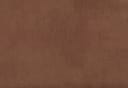 BUCKSKIN BROWN